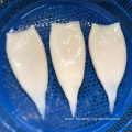 Best Price Frozen Squid Tube U3 U5 U7